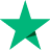 digital-download-store-trustpilot-logo